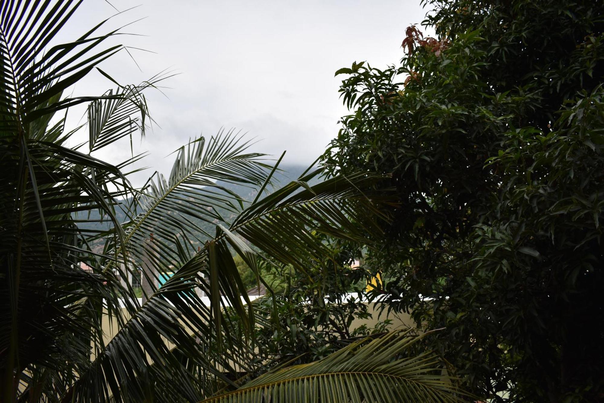 Rainbow Guest House Tiruvannāmalai Esterno foto