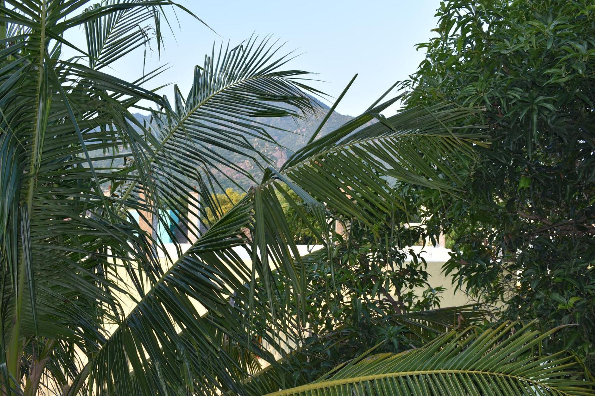Rainbow Guest House Tiruvannāmalai Esterno foto